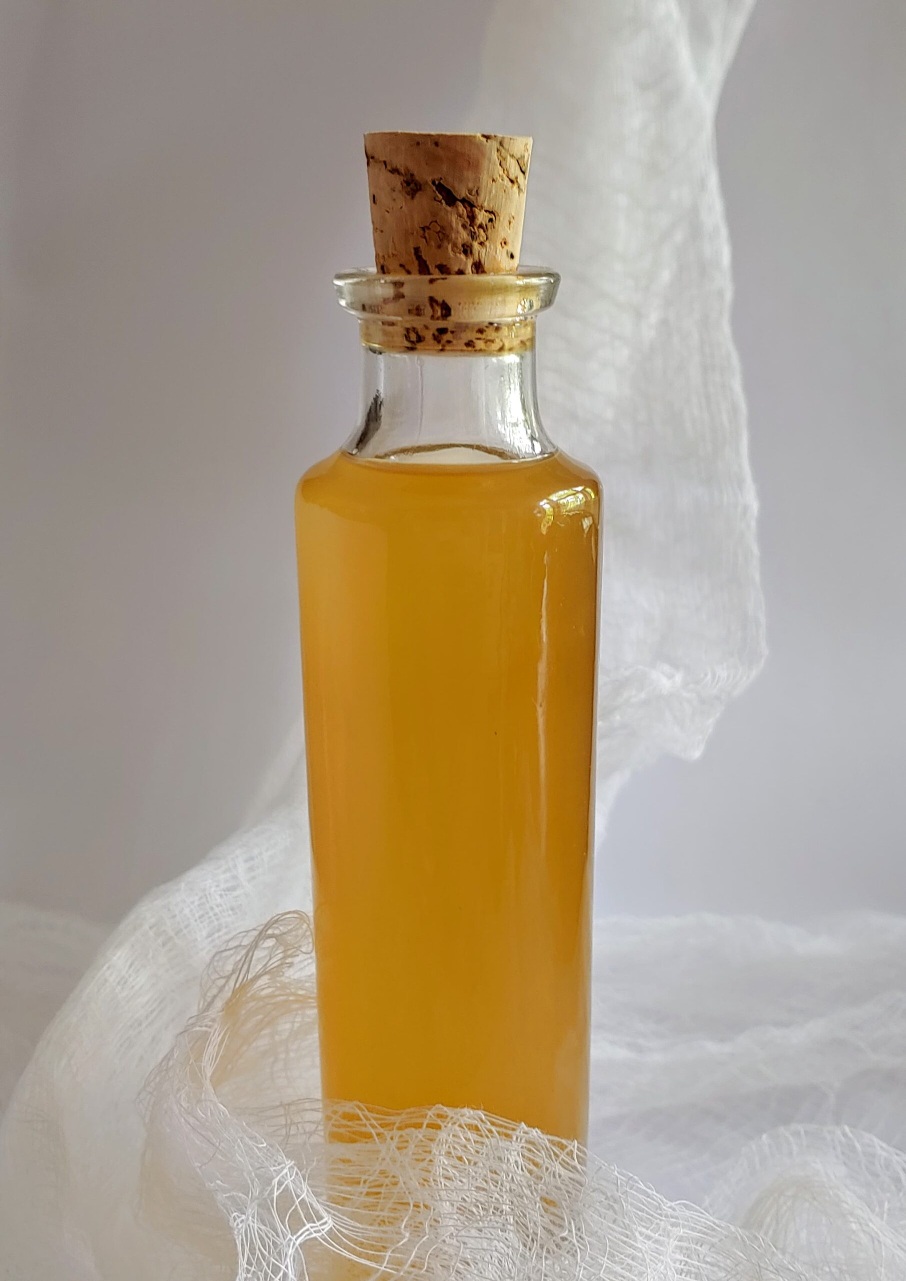 Solomon's Seal Root Tincture, 1 oz.